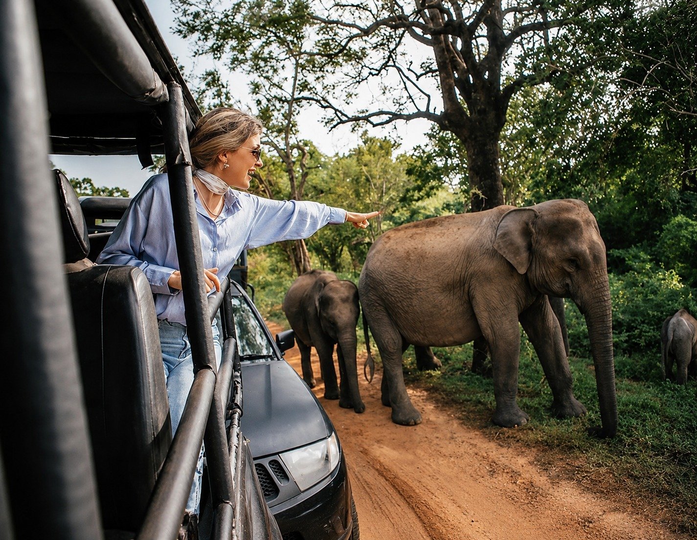 Home yala national park